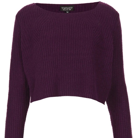 🔥FIRE SALE🔥 Topshop Knitted Crop Sweater - Picture 3 of 5